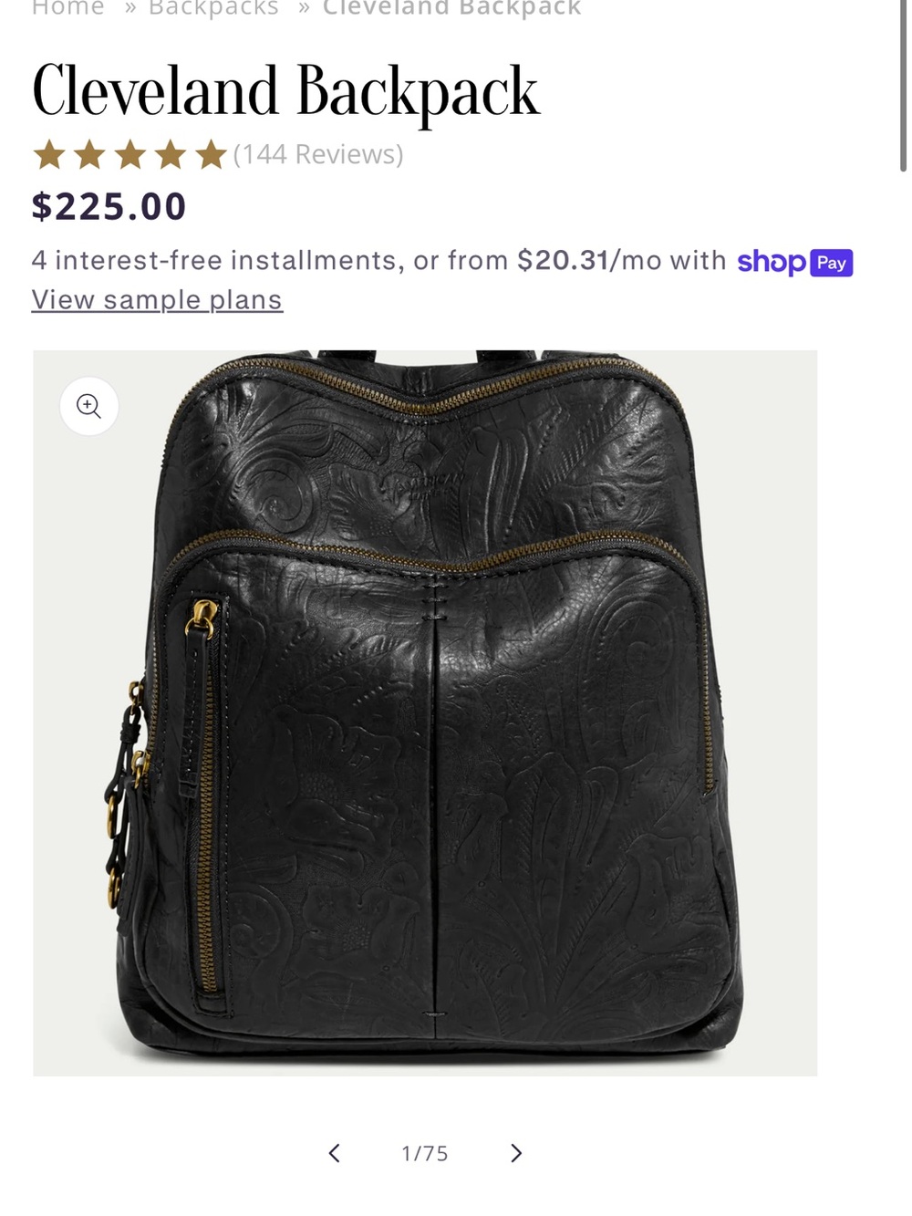 American leather co backpack